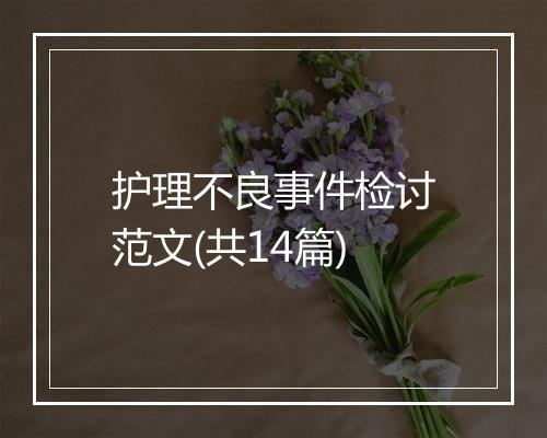 护理不良事件检讨范文(共14篇)