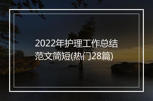 2022年护理工作总结范文简短(热门28篇)