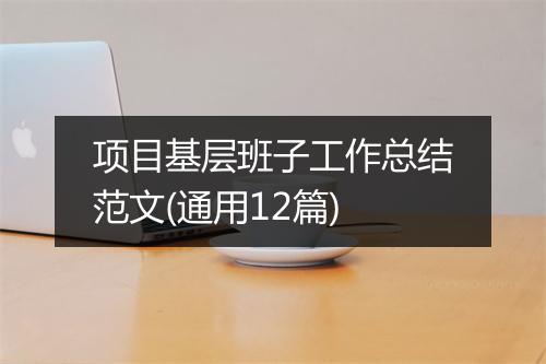 项目基层班子工作总结范文(通用12篇)