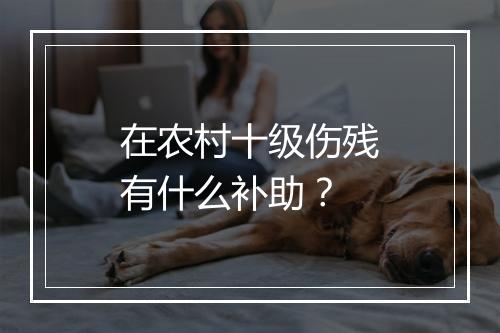 在农村十级伤残有什么补助？