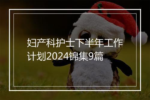 妇产科护士下半年工作计划2024锦集9篇