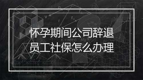 怀孕期间公司辞退员工社保怎么办理
