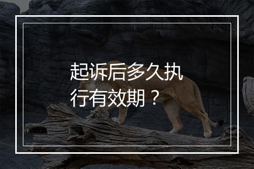 起诉后多久执行有效期？
