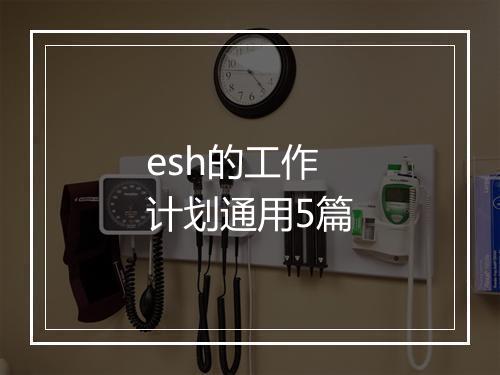 esh的工作计划通用5篇