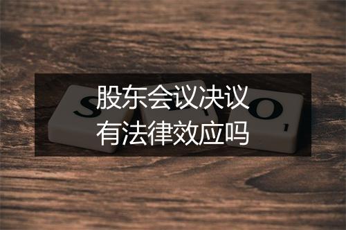 股东会议决议有法律效应吗
