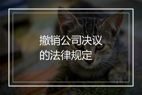 撤销公司决议的法律规定