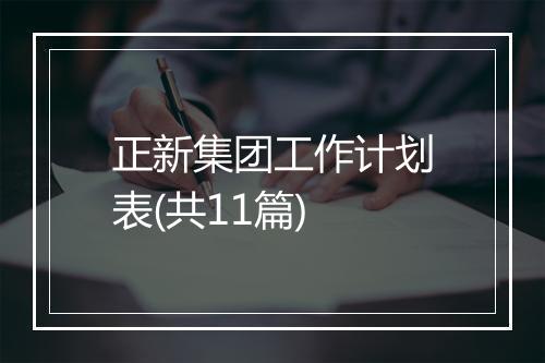 正新集团工作计划表(共11篇)