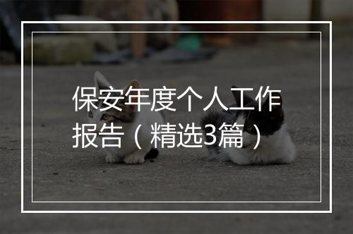 保安年度个人工作报告（精选3篇）