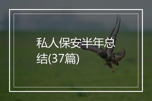 私人保安半年总结(37篇)