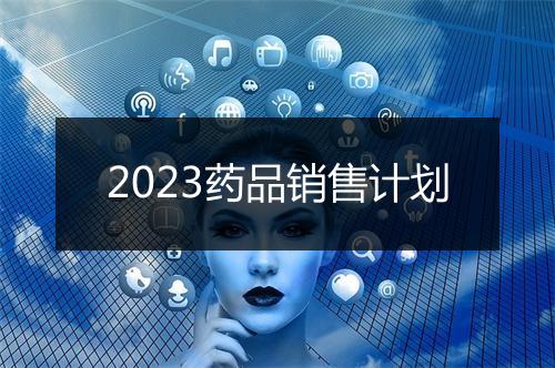 2023药品销售计划