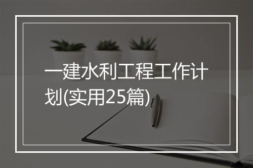 一建水利工程工作计划(实用25篇)