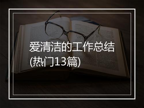 爱清洁的工作总结(热门13篇)