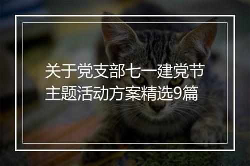 关于党支部七一建党节主题活动方案精选9篇