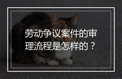 劳动争议案件的审理流程是怎样的？