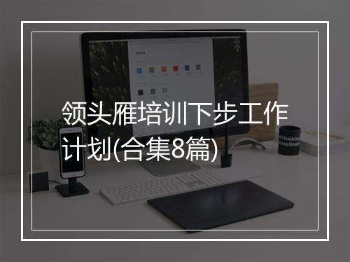 领头雁培训下步工作计划(合集8篇)