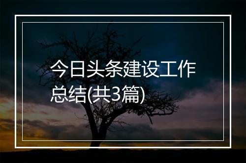 今日头条建设工作总结(共3篇)