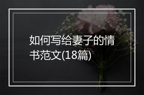 如何写给妻子的情书范文(18篇)