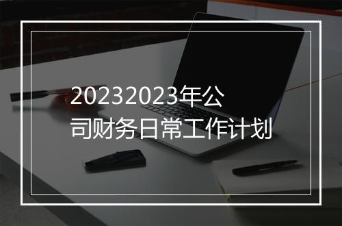 20232023年公司财务日常工作计划