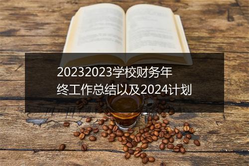 20232023学校财务年终工作总结以及2024计划