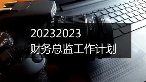 20232023财务总监工作计划