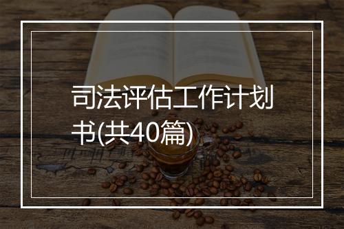 司法评估工作计划书(共40篇)
