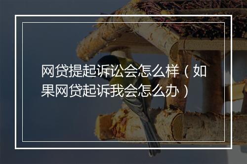 网贷提起诉讼会怎么样（如果网贷起诉我会怎么办）