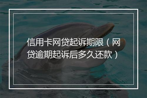 信用卡网贷起诉期限（网贷逾期起诉后多久还款）
