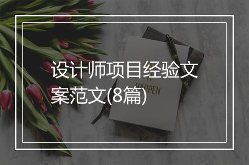 设计师项目经验文案范文(8篇)