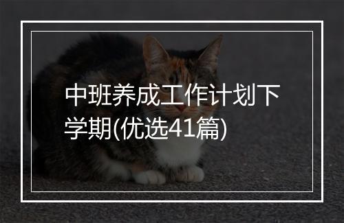 中班养成工作计划下学期(优选41篇)