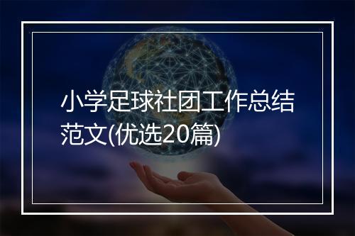 小学足球社团工作总结范文(优选20篇)