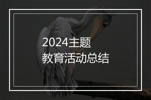 2024主题教育活动总结