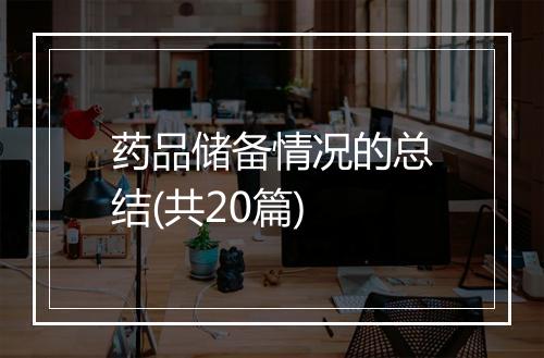 药品储备情况的总结(共20篇)
