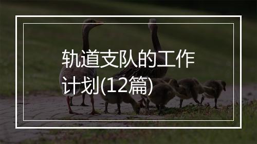 轨道支队的工作计划(12篇)