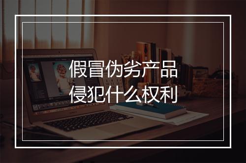假冒伪劣产品侵犯什么权利