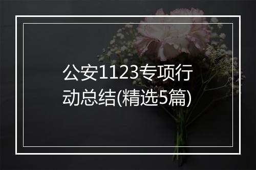 公安1123专项行动总结(精选5篇)