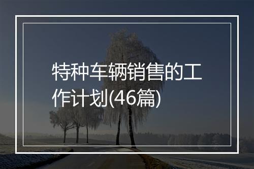特种车辆销售的工作计划(46篇)