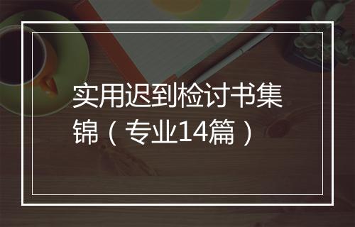 实用迟到检讨书集锦（专业14篇）