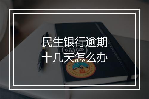 民生银行逾期十几天怎么办