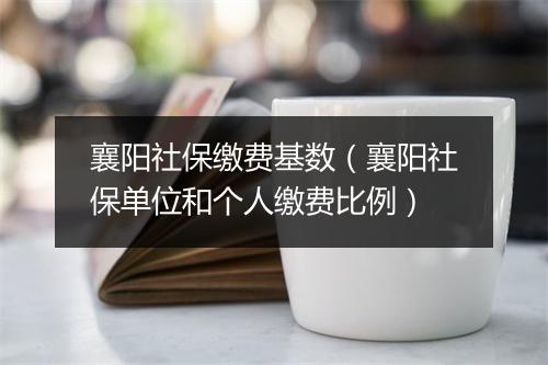 襄阳社保缴费基数（襄阳社保单位和个人缴费比例）