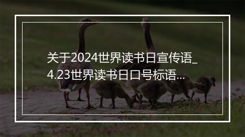 关于2024世界读书日宣传语_4.23世界读书日口号标语80句（通用35篇）