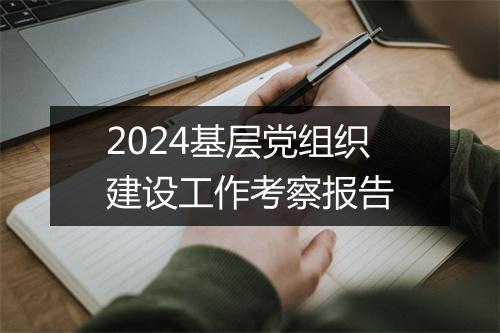 2024基层党组织建设工作考察报告