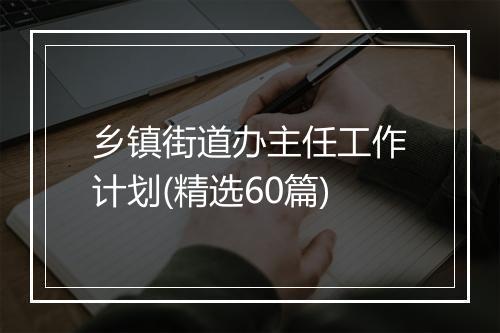 乡镇街道办主任工作计划(精选60篇)