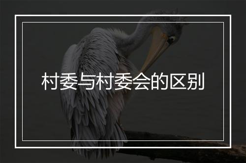 村委与村委会的区别
