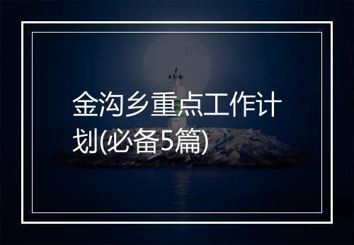 金沟乡重点工作计划(必备5篇)
