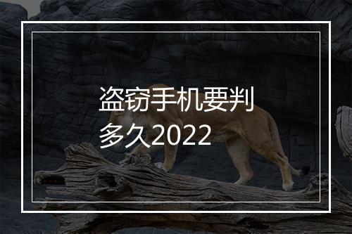盗窃手机要判多久2022