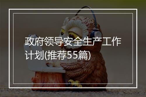 政府领导安全生产工作计划(推荐55篇)