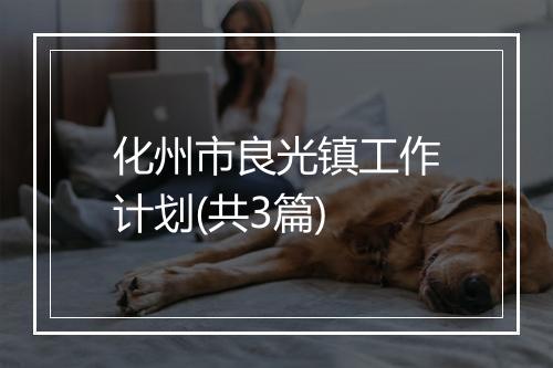 化州市良光镇工作计划(共3篇)