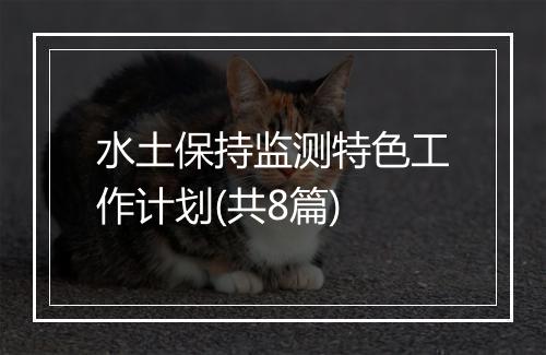 水土保持监测特色工作计划(共8篇)