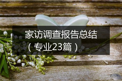 家访调查报告总结（专业23篇）