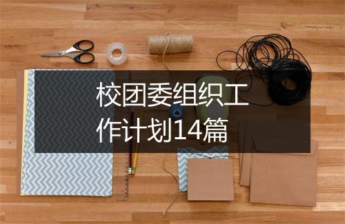 校团委组织工作计划14篇